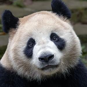 San Diego Zoo