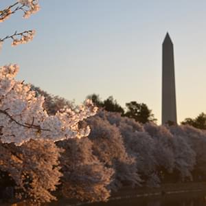 Washington DC